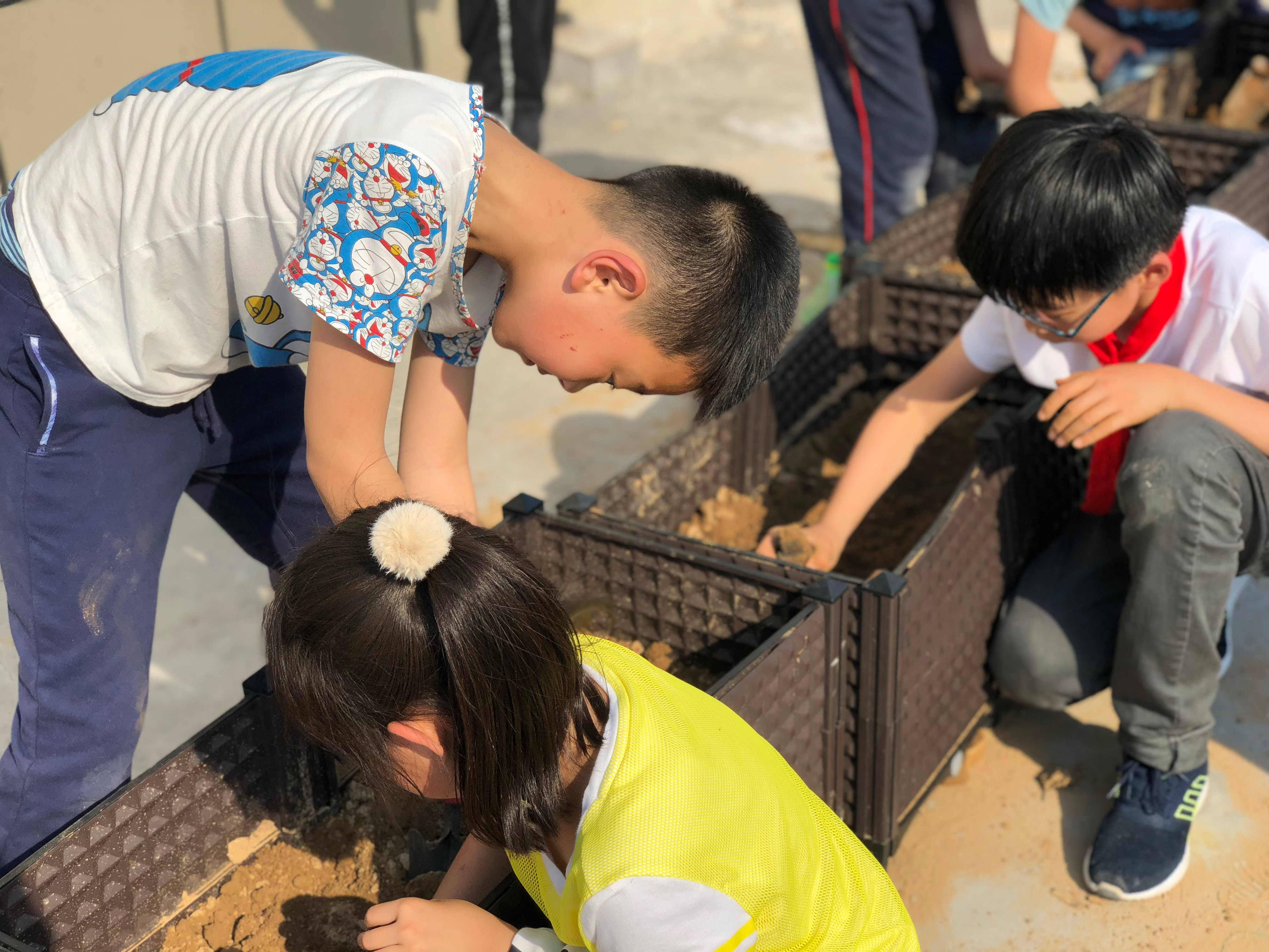 微信图片_201905241049102.jpg